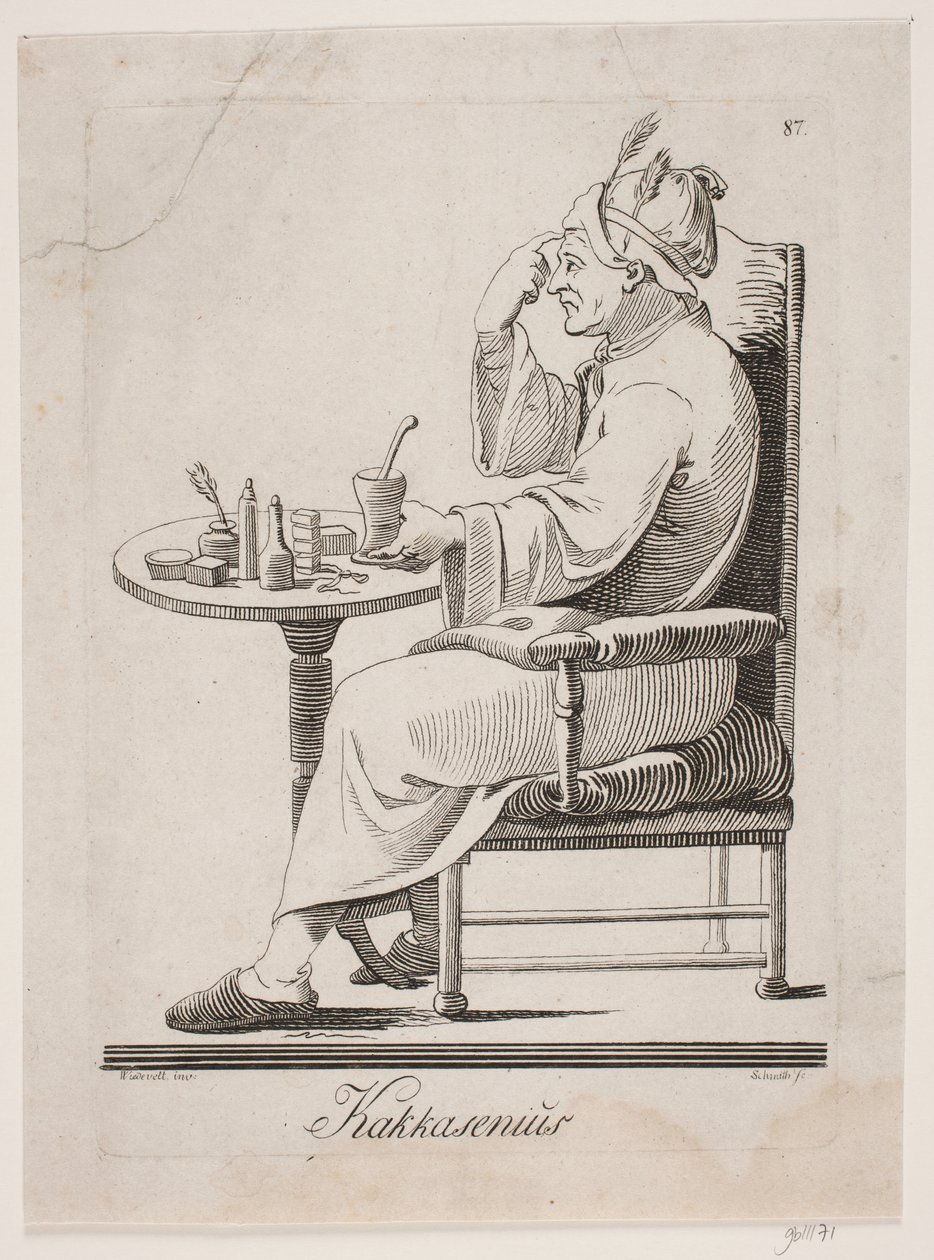 Kakkasenius autorstwa M. W. Schmith
