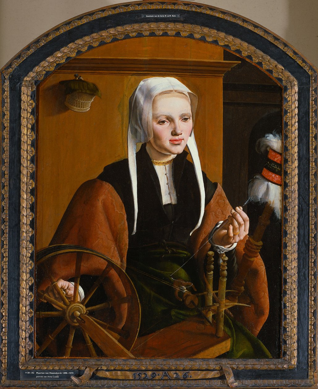 Portret młodej damy, 1529 autorstwa Maarten van Heemskerck