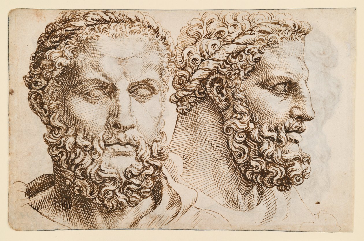 Dwa studia według głowy watykańskiego „Herkulesa” autorstwa Maarten van Heemskerck