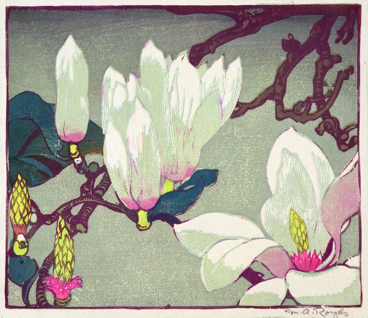 Magnolia, ok. 1925 (odbitka drzeworytowa) autorstwa Mabel Royds