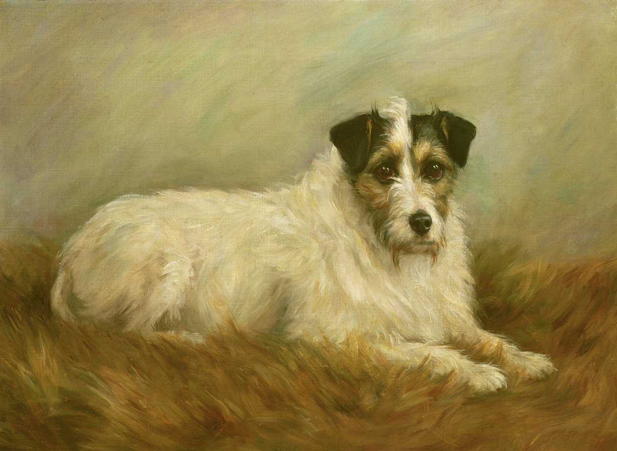 Terier autorstwa Mabel Hastings