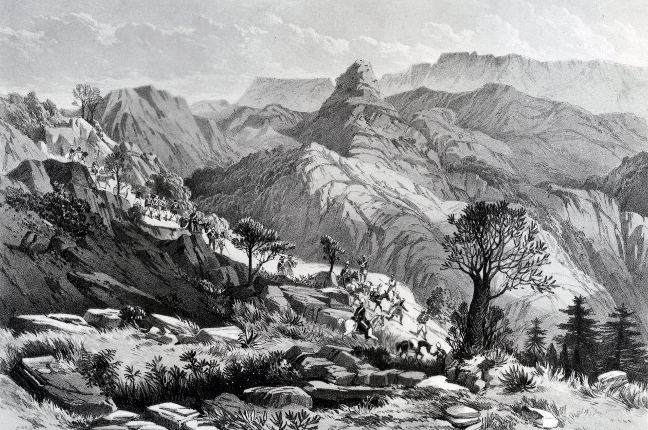 W marszu w pobliżu Dongolo, grawerowane przez Jamesa Fergusona, 1868 autorstwa Major A.G.F. Hogg