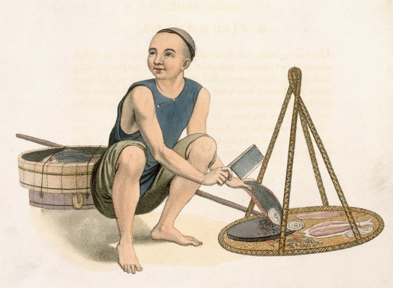 Sprzedawca ryb, płyta 39 z filmu „The Costumes of China”, ryt. J. Dadley, 1800 autorstwa Major George Henry Mason