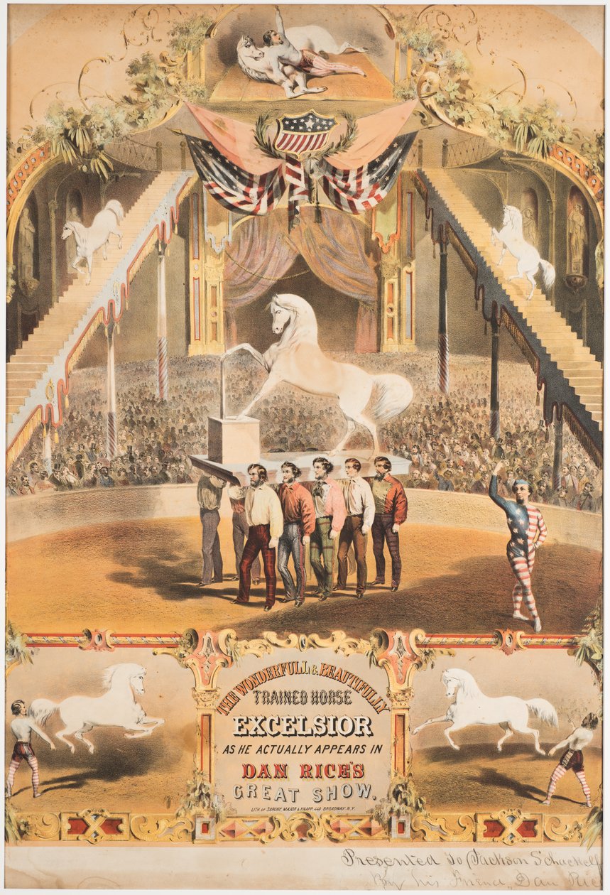 Wspaniały i pięknie wytresowany koń Excelsior, ok. 1840 (chromolitho) autorstwa Major and Knapp Sarony