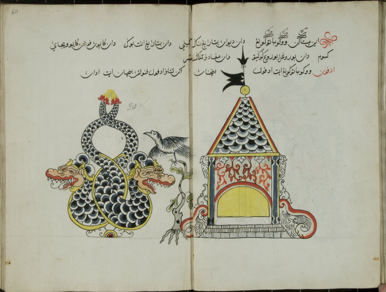 Kurkuma Jawa, MS 41 str. 60, obecnie 30, 1830 autorstwa Malay Malay