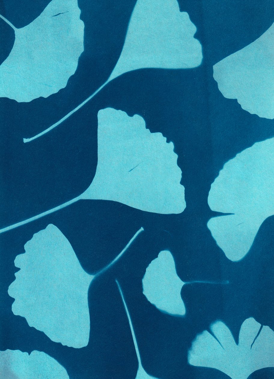 Ginkgo biloba 146, 2023 (cyjanotypia, media mieszane) autorstwa Marco Campedelli