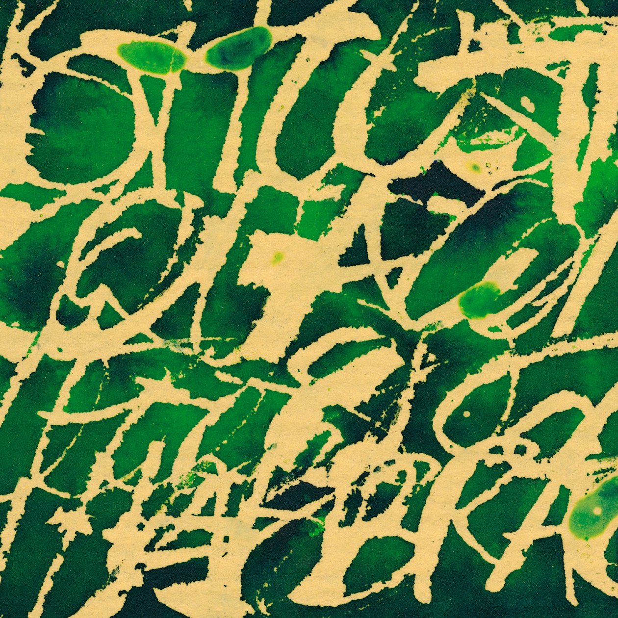 Zielony napis, 2002 (media mieszane) autorstwa Marco Campedelli