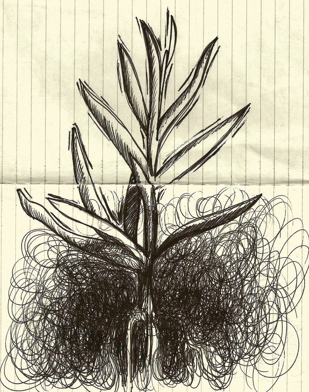 Roślina, 2014 (tusz na papierze) autorstwa Marco Campedelli