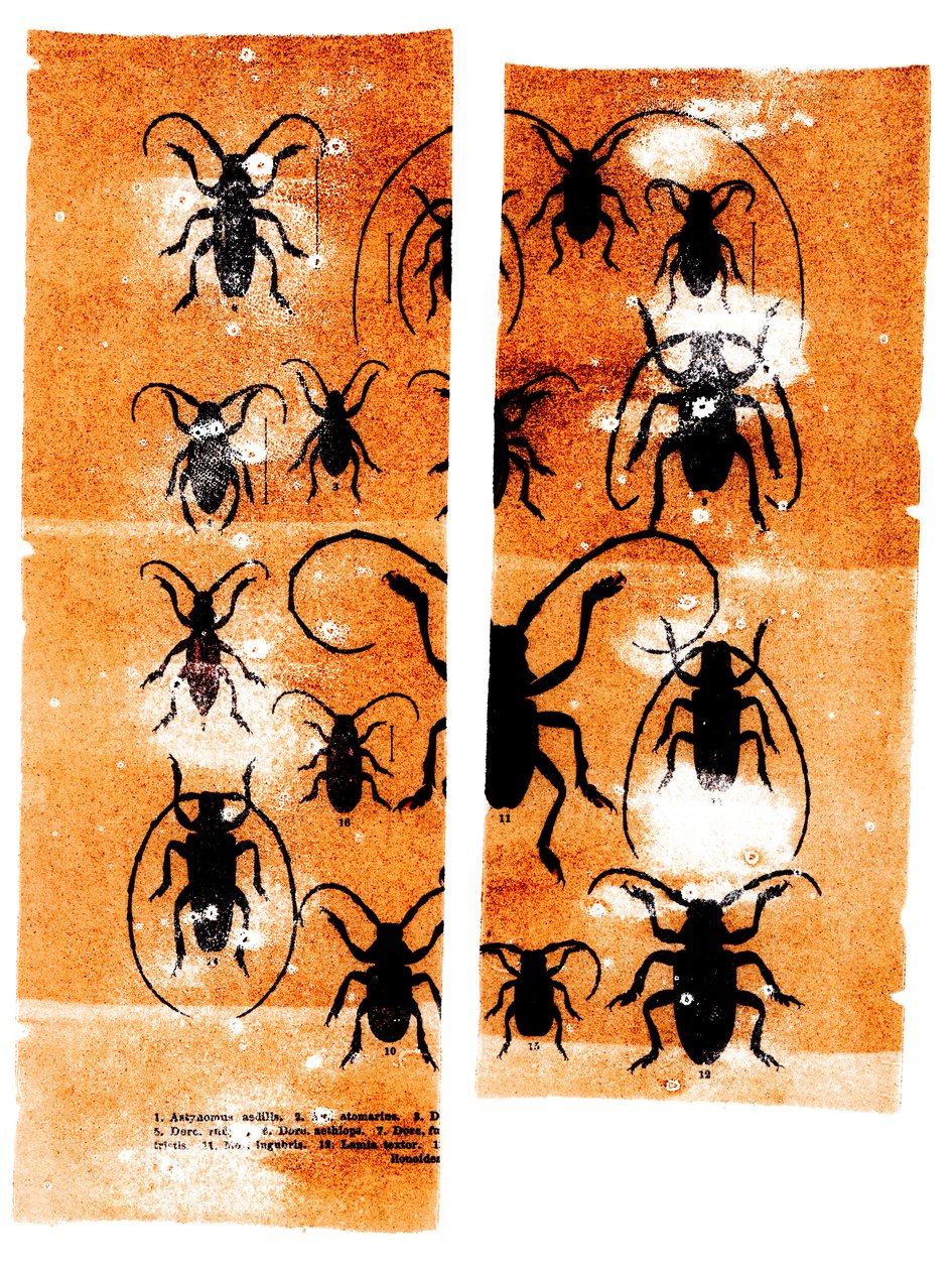 Scarfaces, 2023 (mixed media) autorstwa Marco Campedelli