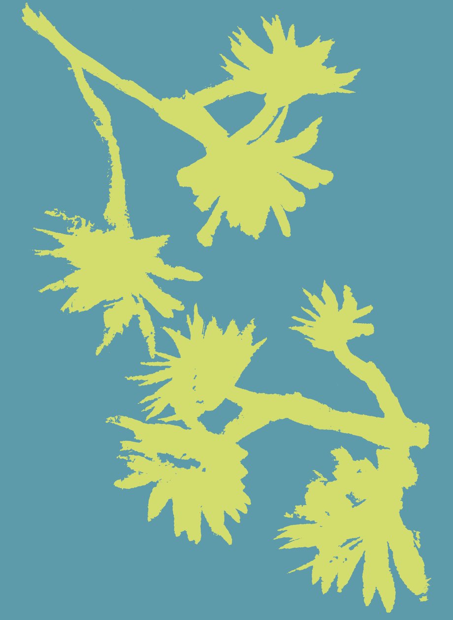 Succulent_2, 2022 (tusz na papierze) autorstwa Marco Campedelli