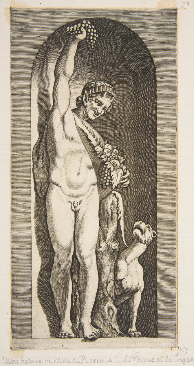 Faun stojący w niszy trzymający prawą ręką w górze kiść winogron i... ok. godz. 1515-27. autorstwa Marco Dente