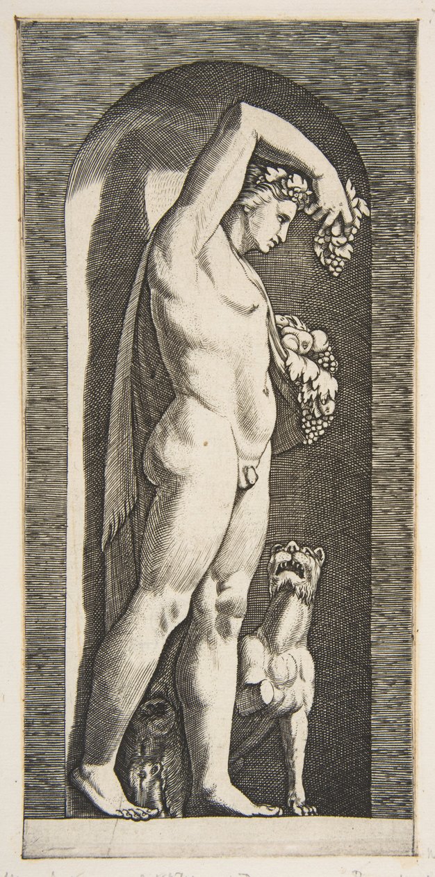 Bachus stojący w niszy trzymający winogrona w uniesionej prawej ręce, owoce w swojej l..., ca. 1515-27. autorstwa Marco Dente