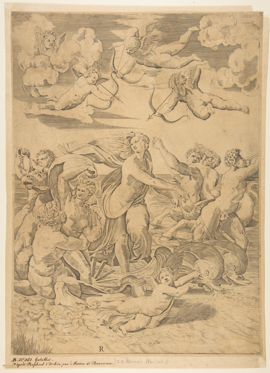 Galatea jadąca w muszli ciągniętej przez delfiny w wodzie, amorek poniżej i f..., ca. 1515-27. autorstwa Marco Dente