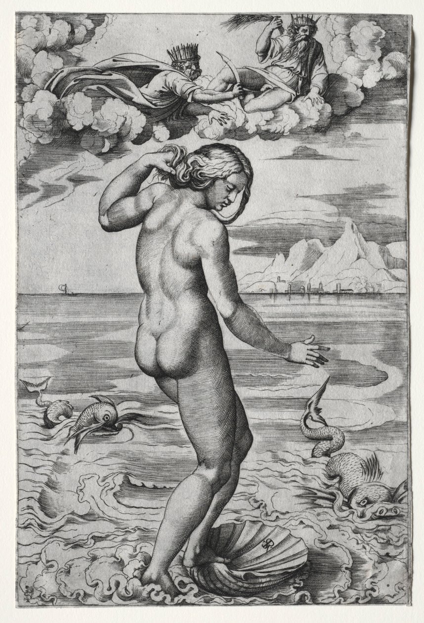 Narodziny Wenus , c. 1516. autorstwa Marco Dente