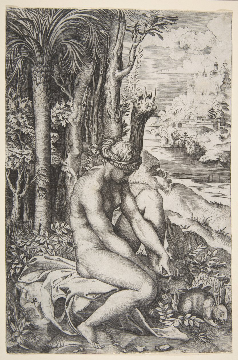 Wenus usuwa cierń z lewej stopy siedząc na obrusie obok drzew, a..., ca. 1515-27. autorstwa Marco Dente