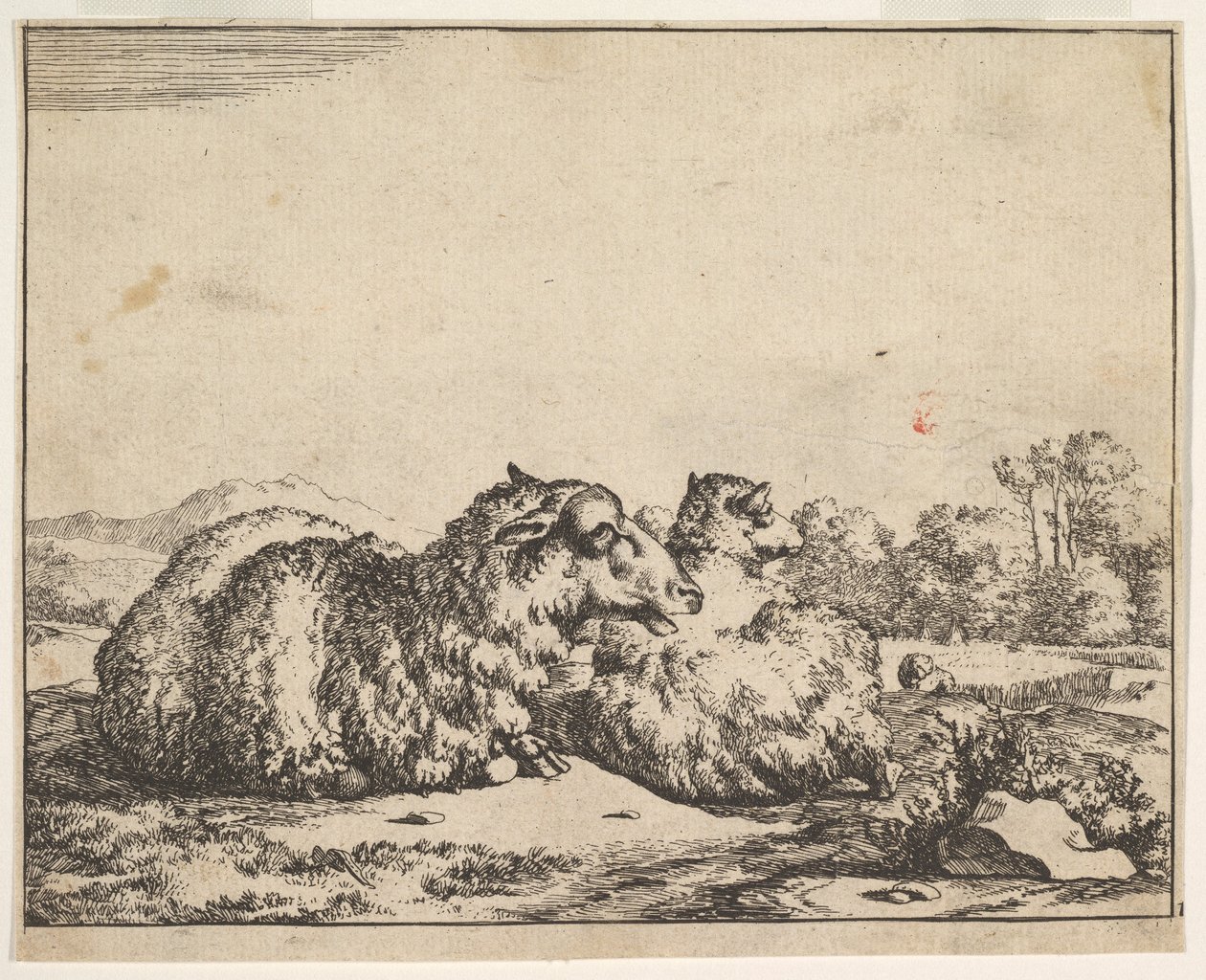 Owce, z zestawu 16 talerzy, 1664. autorstwa Marcus de Bye