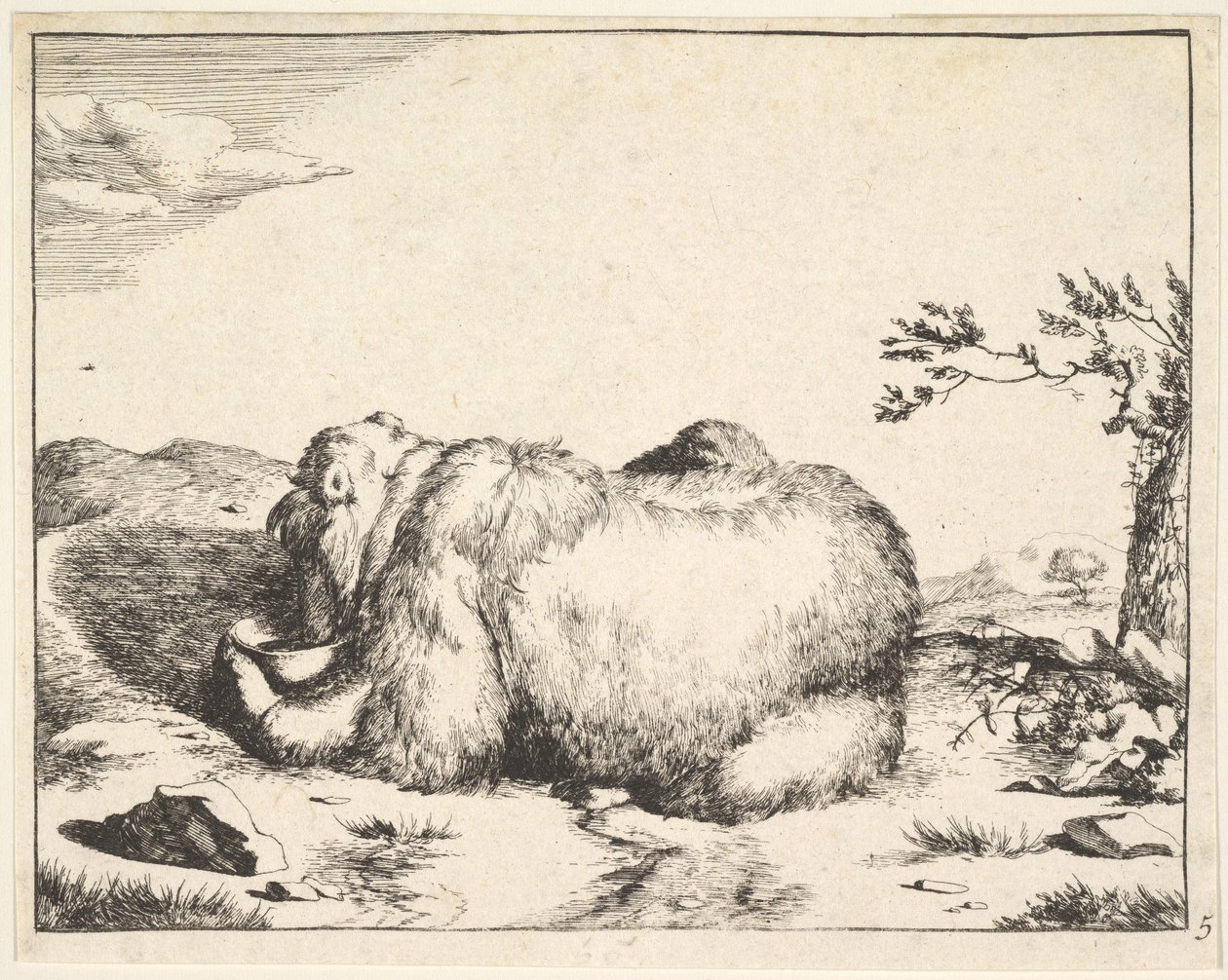 z Zestawu niedźwiedzi, ca. 1664. autorstwa Marcus de Bye