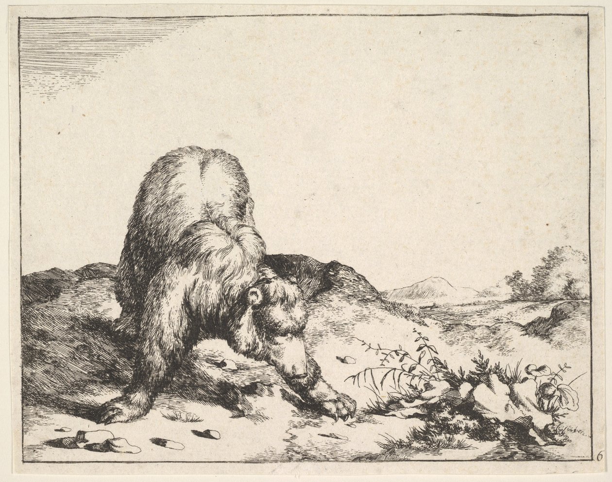 z Zestawu niedźwiedzi, ca. 1664. autorstwa Marcus de Bye