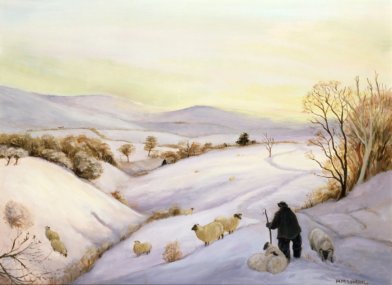 Owce na grzbiecie autorstwa Margaret Loxton
