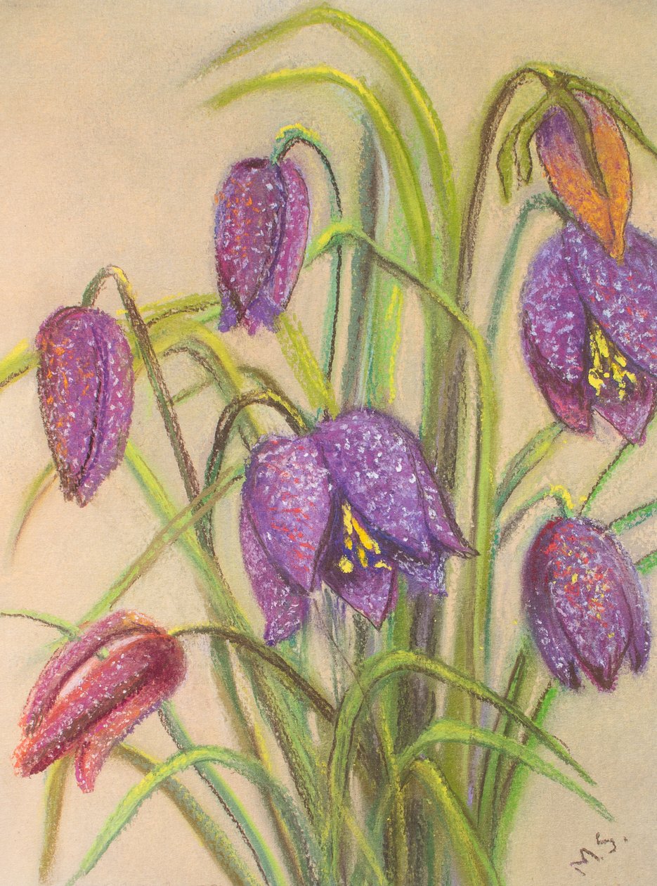 Grono Fritillarii, 2015 (pastel) autorstwa Margo Starkey
