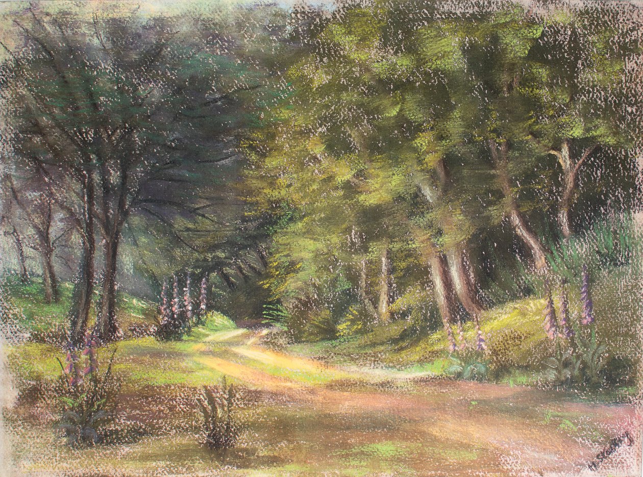 Spacer po lesie, Somerset, 1995 (pastel) autorstwa Margo Starkey