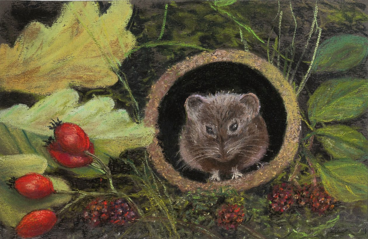Mysz polna w rurze spustowej, 2020 (pastel) autorstwa Margo Starkey