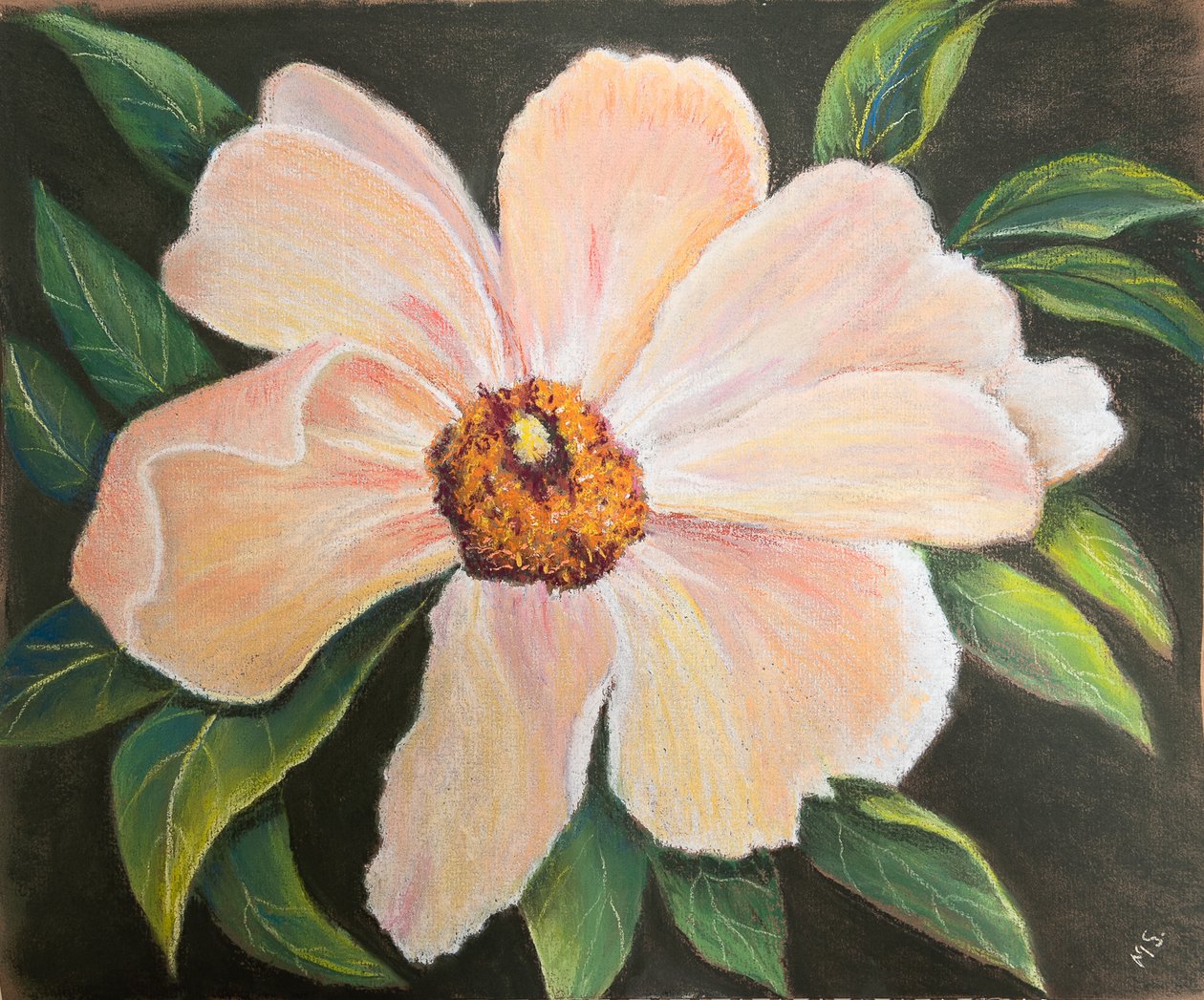 Duża piwonia, 2022 (pastel) autorstwa Margo Starkey
