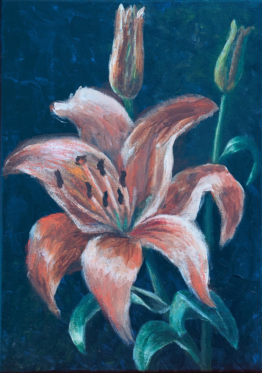 Lilia pomarańczowa, 2022 (pastel) autorstwa Margo Starkey