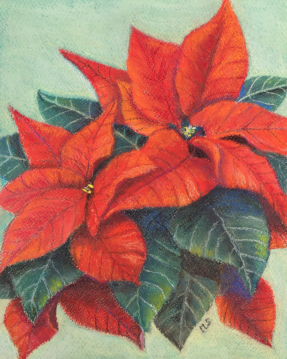 Poinsecja, 2022 (pastel) autorstwa Margo Starkey