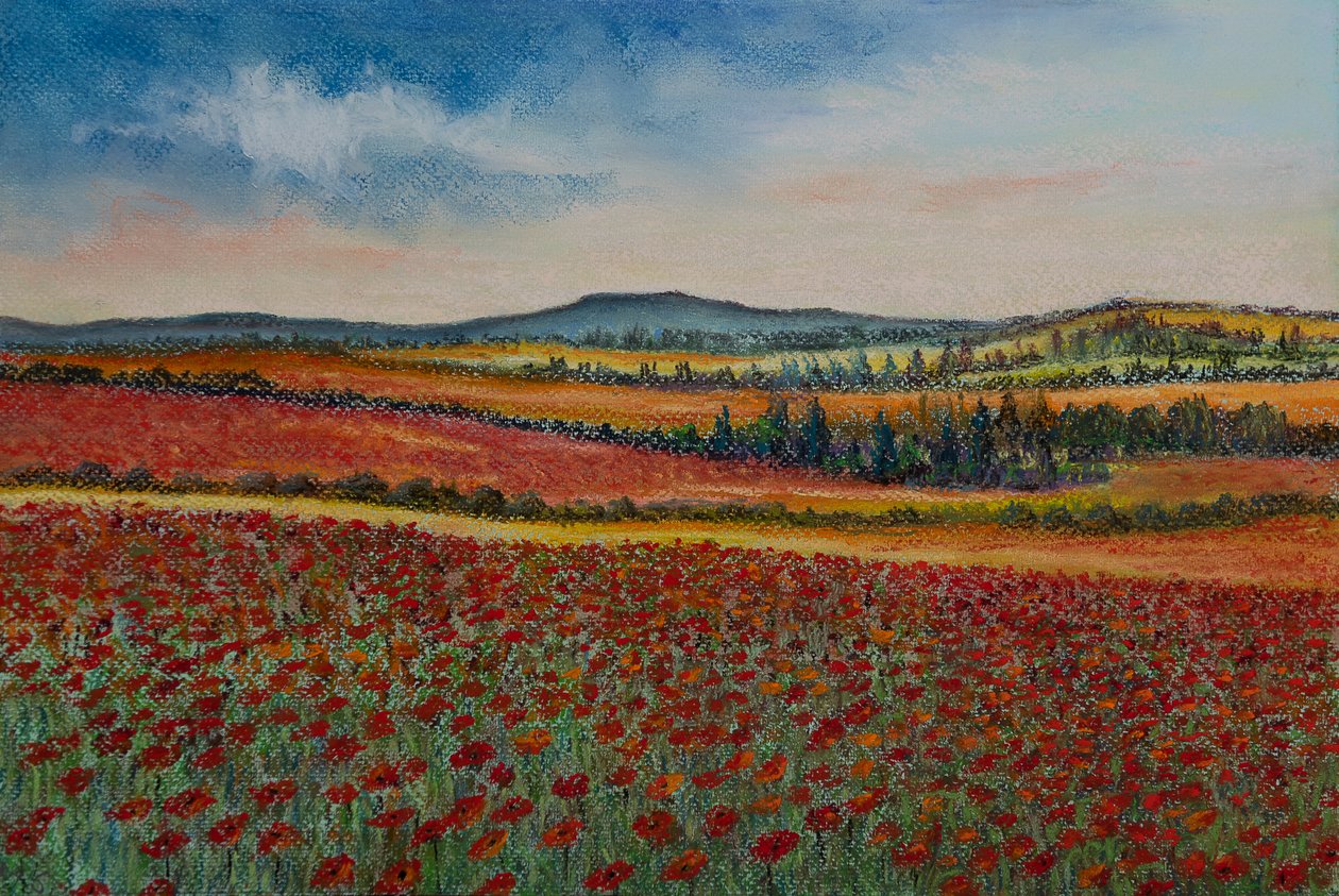 Pola makowe...Flandria, 2020 (pastel) autorstwa Margo Starkey