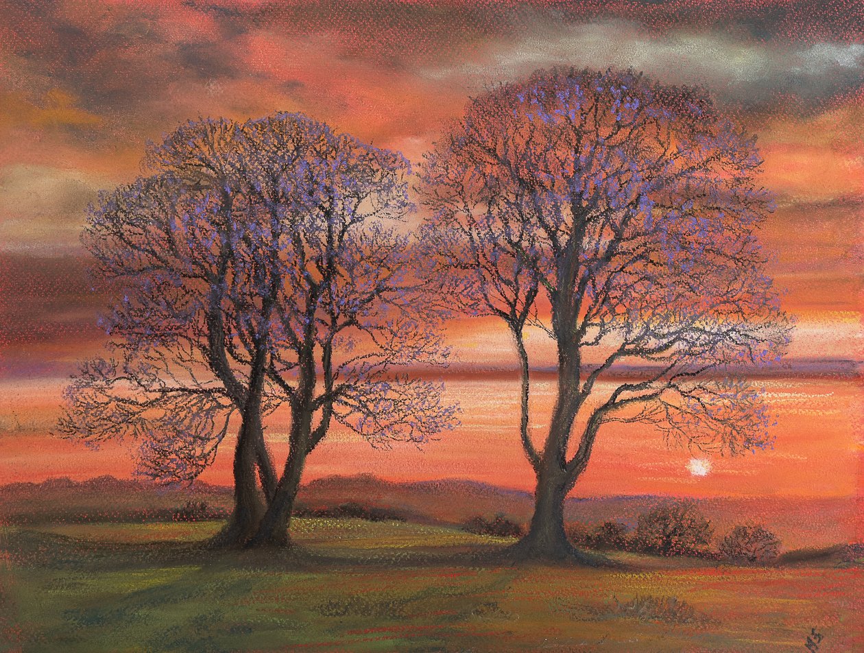 Światło słoneczne przez drzewa, 2020 (pastel) autorstwa Margo Starkey