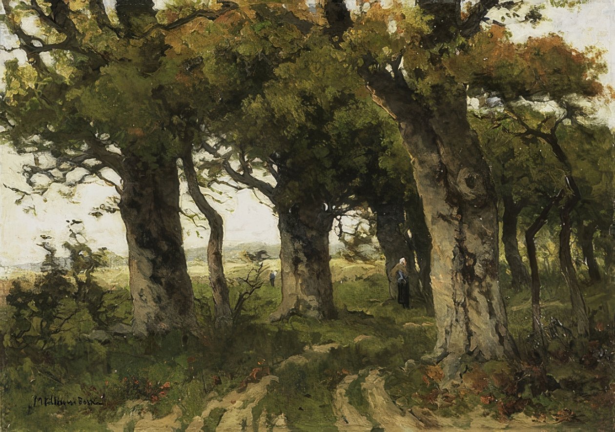 Aleja Dębowa późnym latem. 1880-1900 autorstwa Maria Bilders van Bosse