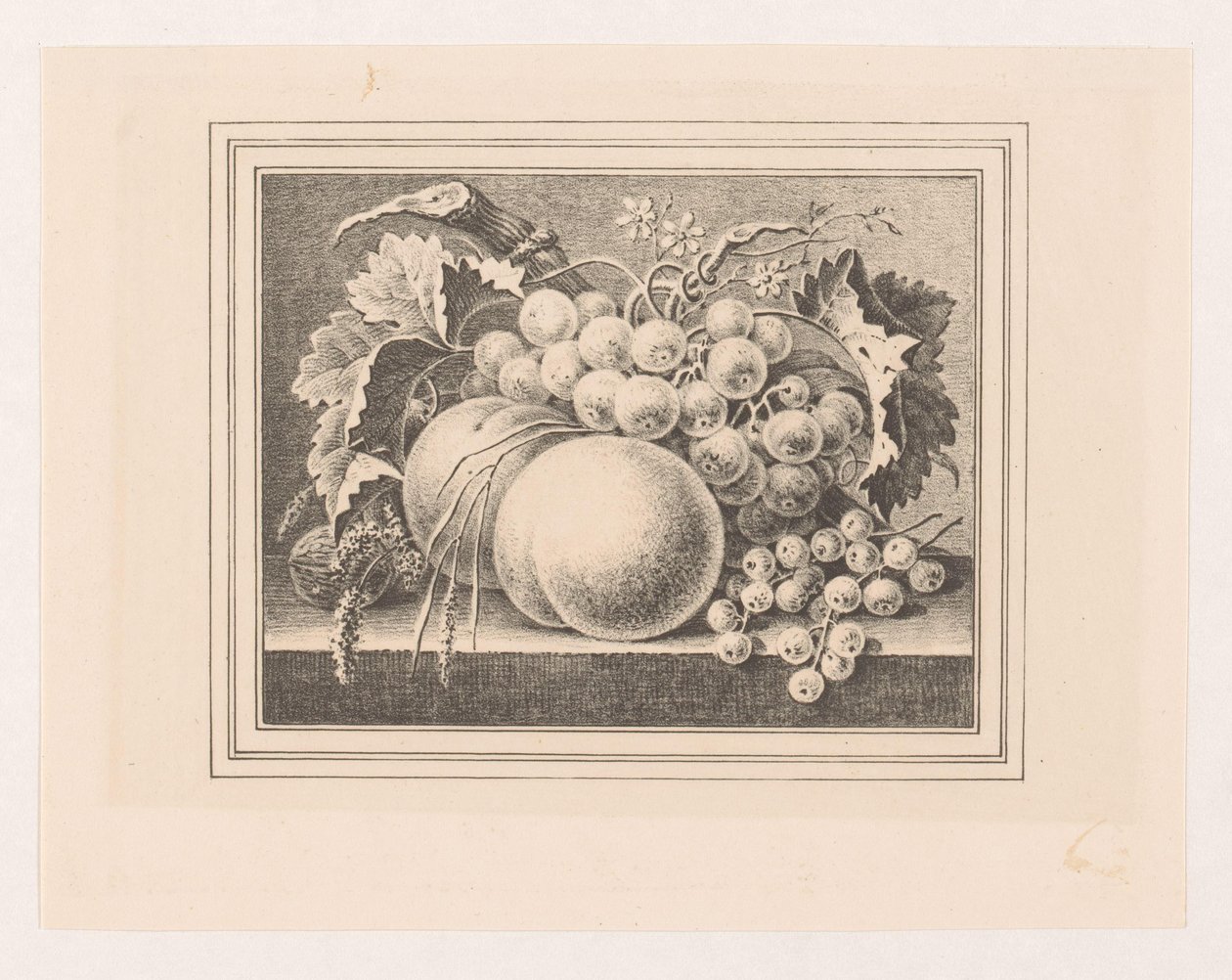 Kompozycja z owocami w ramce autorstwa Maria Geertruida de Goeje Barbiers (attributed to)