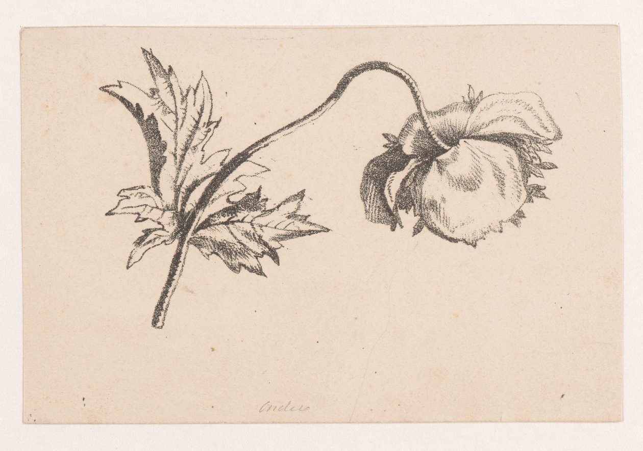 MAK autorstwa Maria Geertruida de Goeje Barbiers (attributed to)