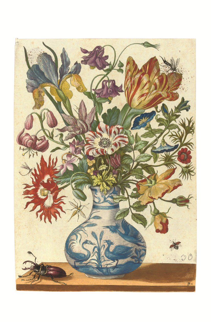 Płyta z Blumenbuch (ręcznie kolorowany grawerunek) autorstwa Maria Sibylla Graff Merian