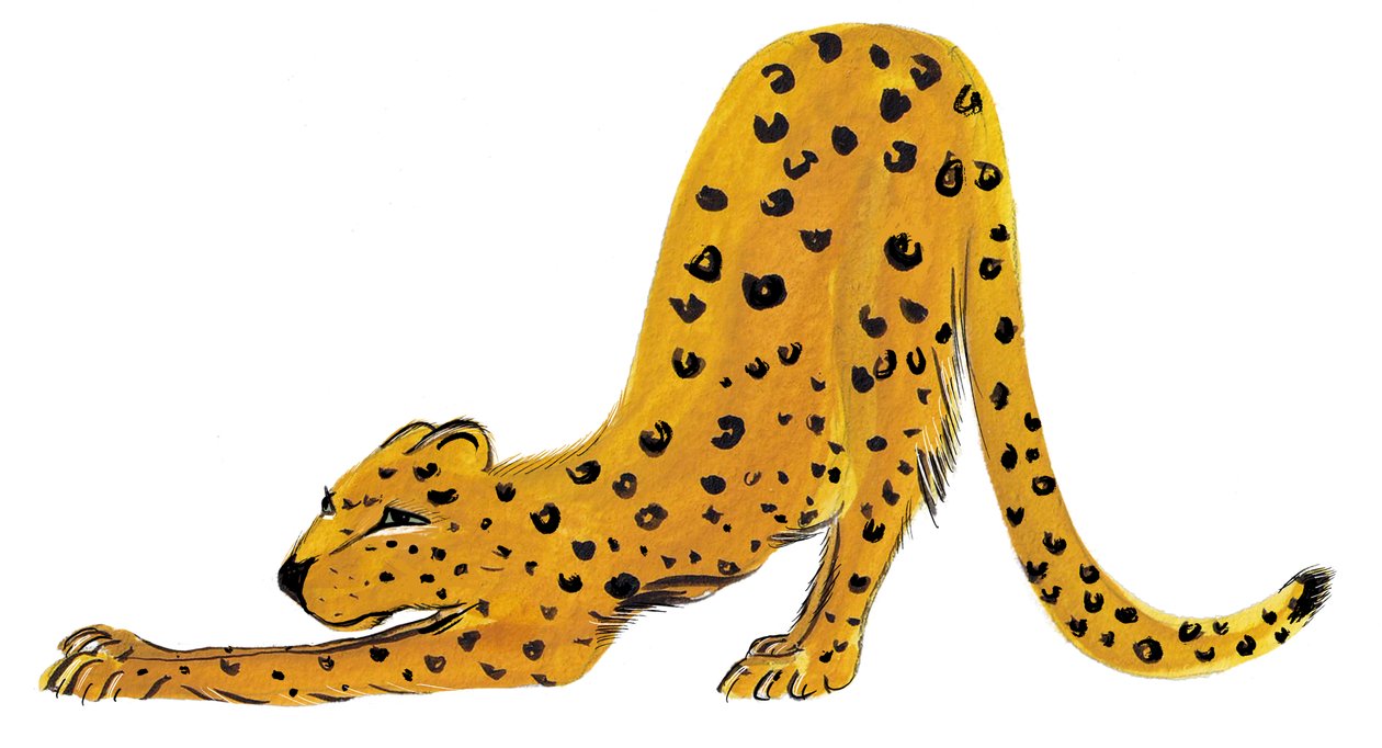 Big Cat Stretch, 2020 (akwarela na papierze) autorstwa Marianna Kulukundis