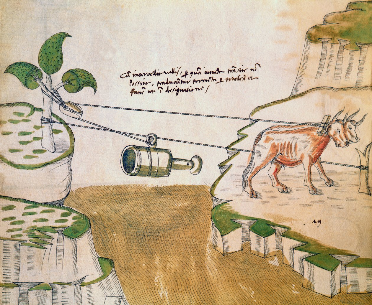 Woły rysujące koło pasowe, ilustracja z De Machinis (pióro i atrament i toaleta na papierze) autorstwa Mariano di Jacopo 1382 c.1453 after Mariano di Jacopo 1382 c.1453 after