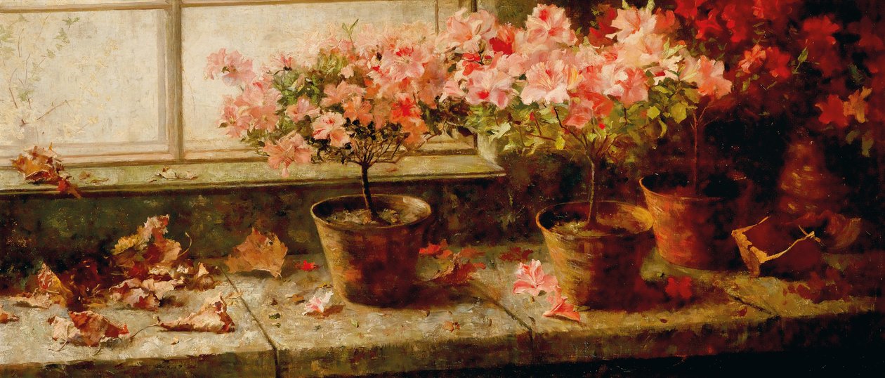 Azaleenstocke am Fenster English: Kwitnące azalie przy oknie autorstwa Marie Egner