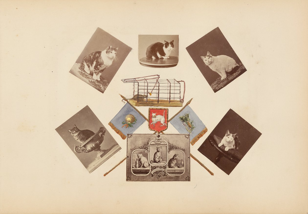 Album Madame B autorstwa Marie Blanche Hennelle Fournier