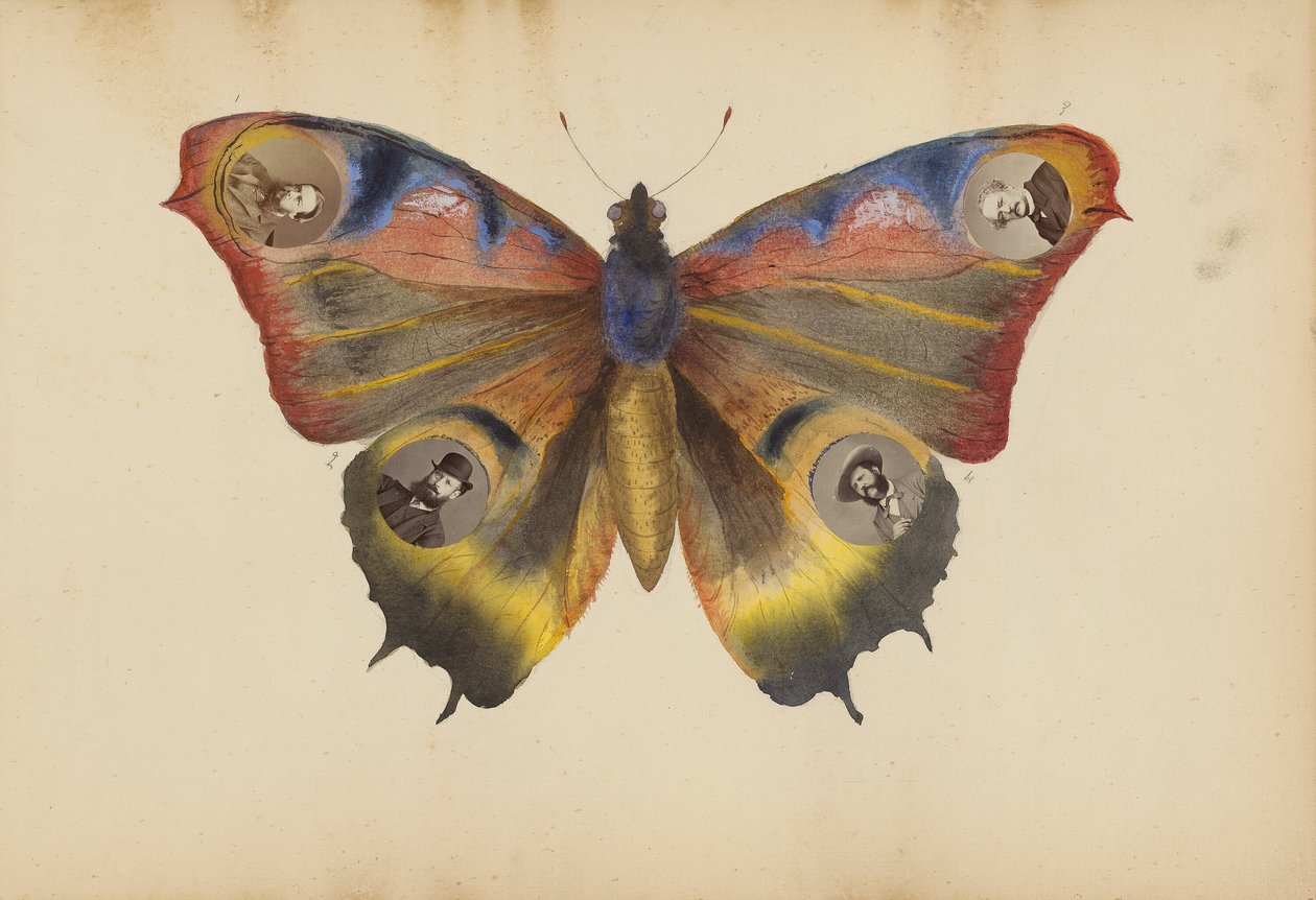 Album Madame B autorstwa Marie Blanche Hennelle Fournier