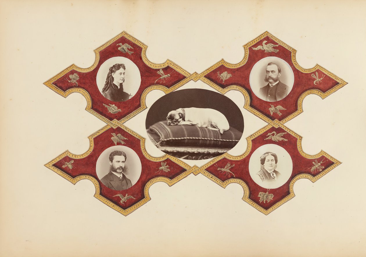 Album Madame B, lata 70. XIX wieku. autorstwa Marie Blanche Hennelle Fournier