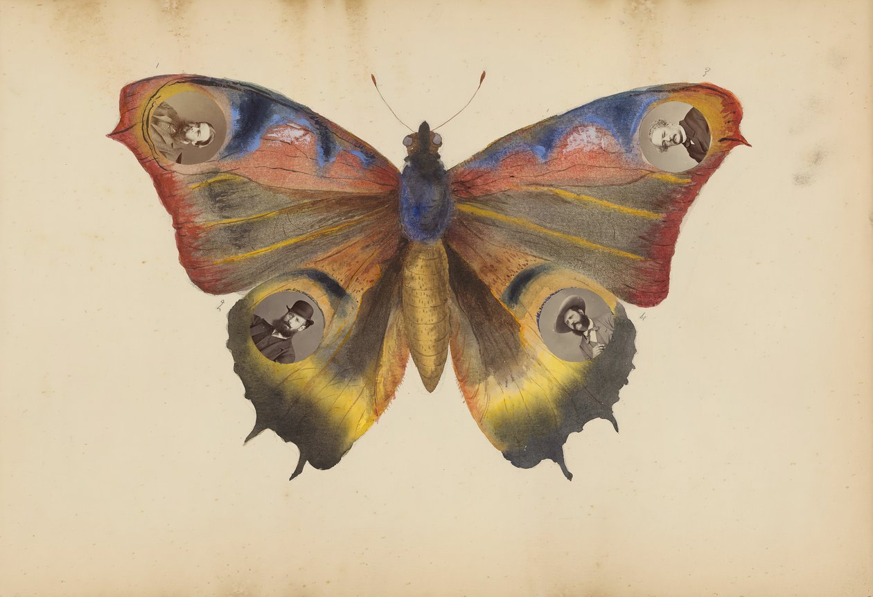 Album Madame B, lata 70. XIX wieku. autorstwa Marie Blanche Hennelle Fournier