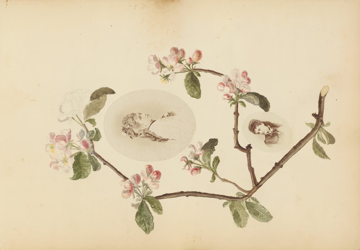Album Madame B, lata 70. XIX wieku. autorstwa Marie Blanche Hennelle Fournier