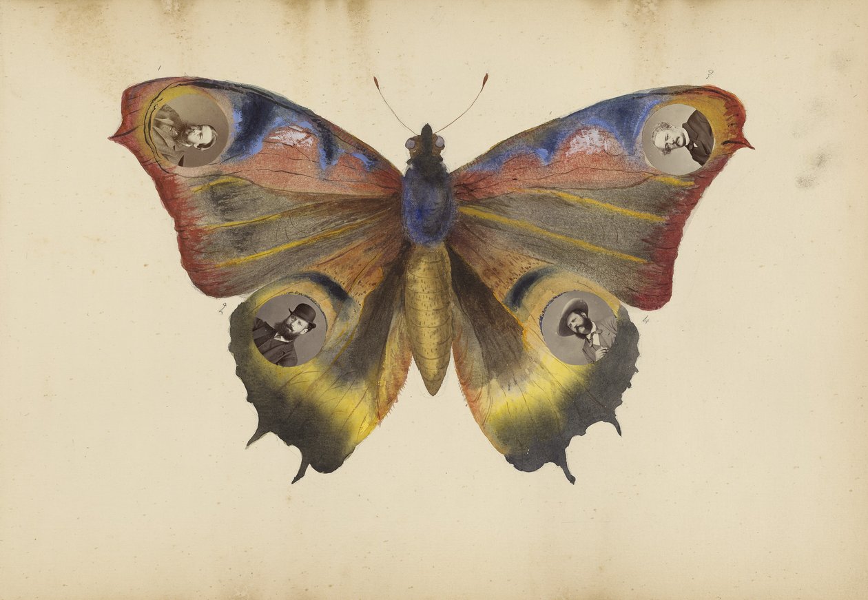 Album Madame B, lata 70. XIX wieku autorstwa Marie Blanche Hennelle Fournier