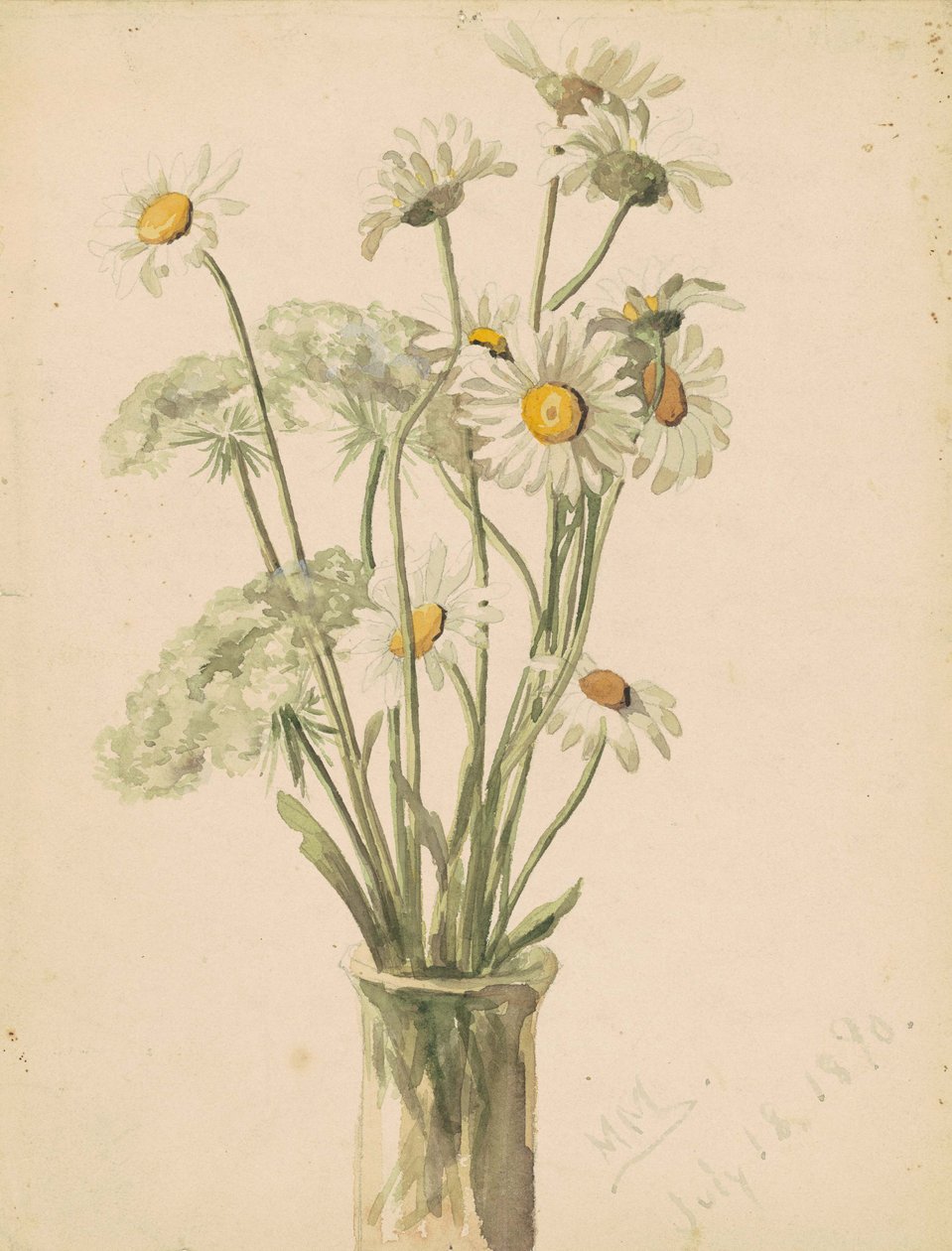 Stokrotki i koronka królowej Anny w wazonie, 1890 (akwarela i grafit na papierze) autorstwa Marietta Minnegerode Andrews