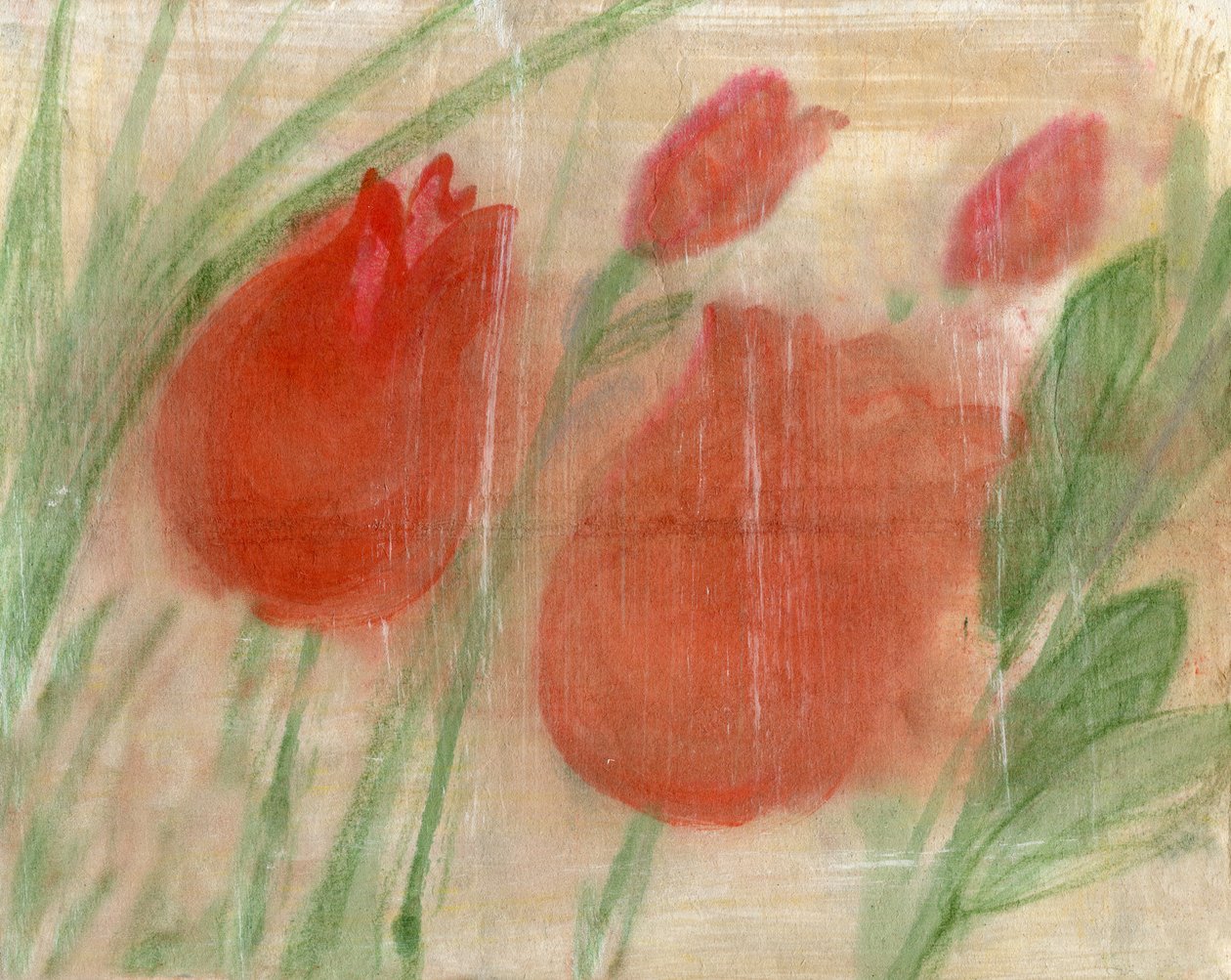 Czerwone tulipany autorstwa Marina Falco