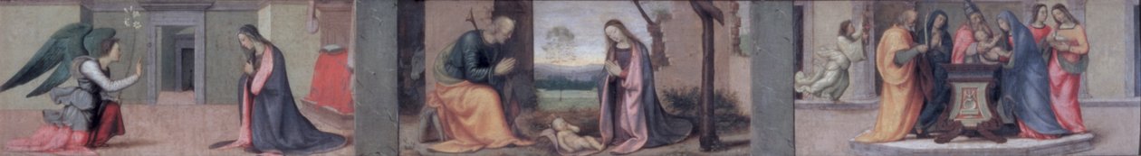 Zwiastowanie; Narodzenie; Ofiarowanie w świątyni, panel predelli do Nawiedzenia św. Elżbiety przez Madonnę, 1503 (panel) (zob. też 50335) autorstwa Mariotto Albertinelli