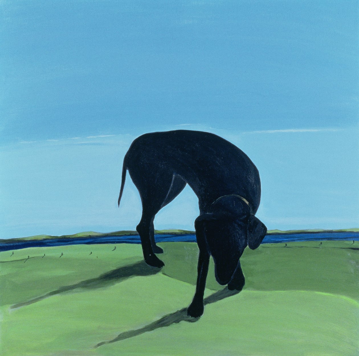 Joes Black Dog, 1996 (akryl na płótnie) autorstwa Marjorie Weiss