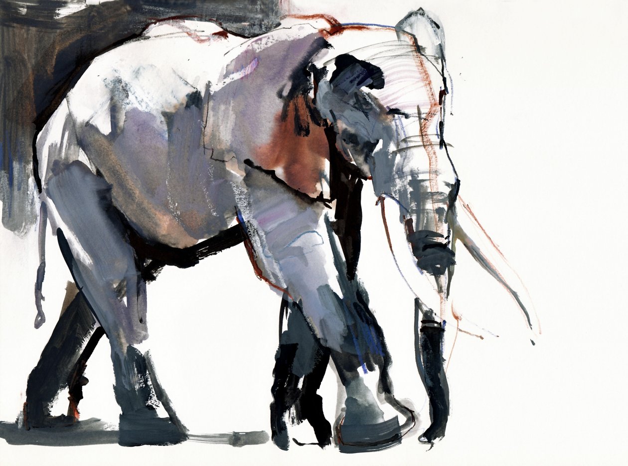 Słoń afrykański, 2012, (media mieszane na papierze) autorstwa Mark Adlington