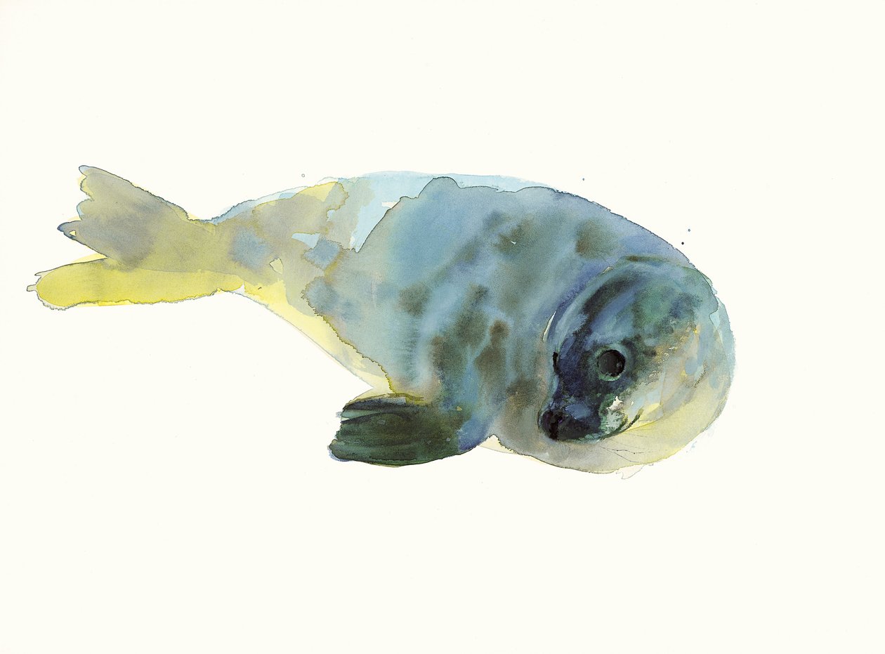 Aqua zielony autorstwa Mark Adlington